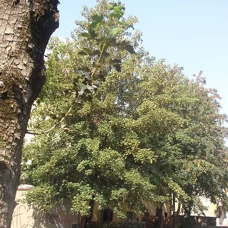 Apartamento Rimska Tour As *