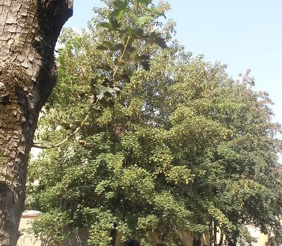 Apartman Rimska Tour As *